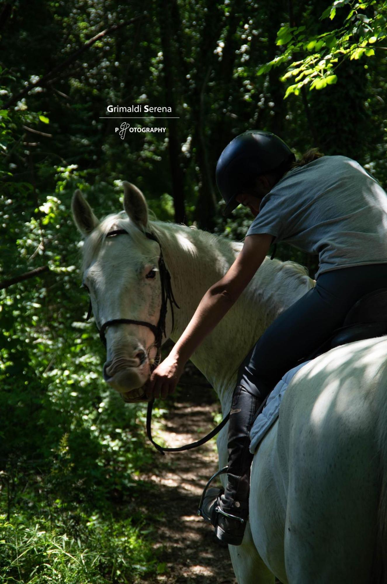 Agriturismo Buonasera Баньореджо Екстериор снимка