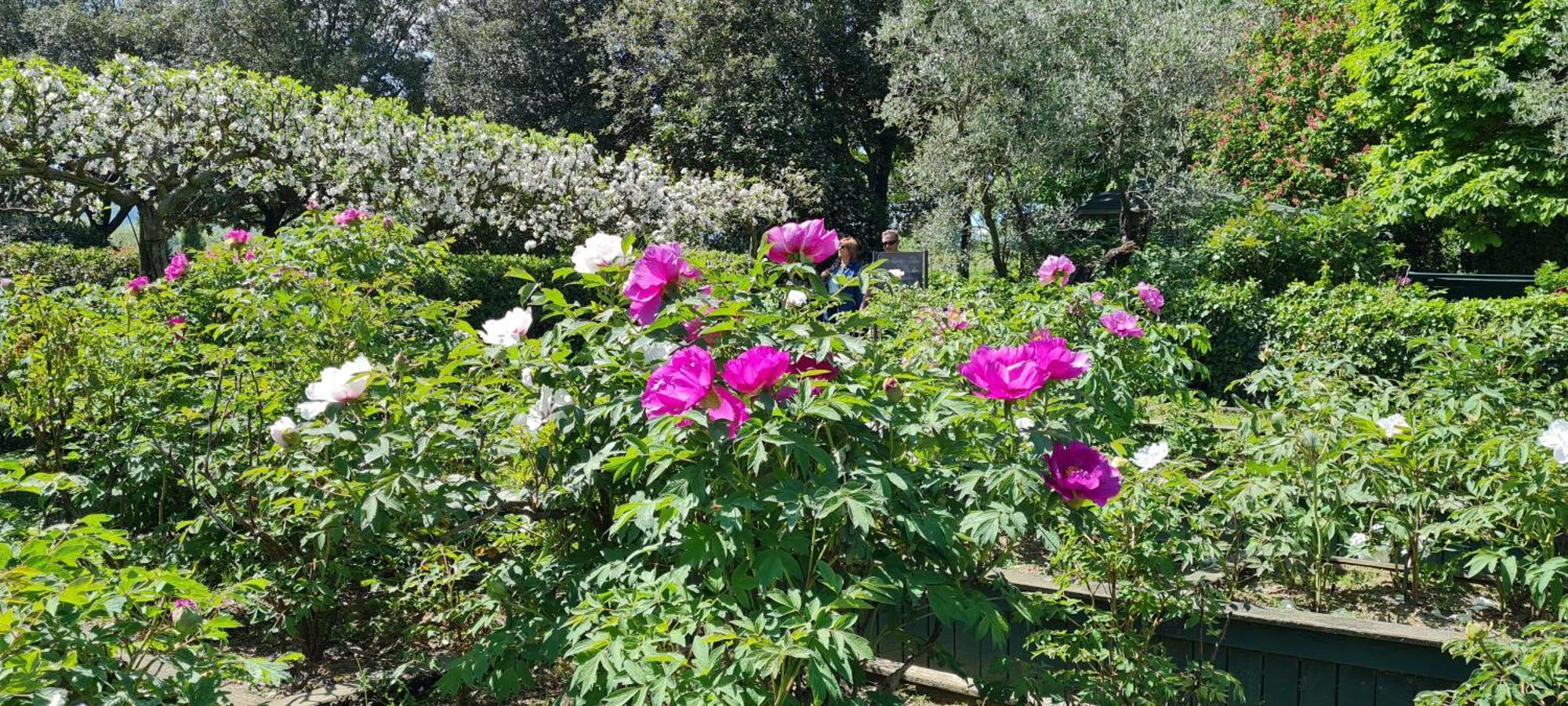 Agriturismo Buonasera Баньореджо Екстериор снимка