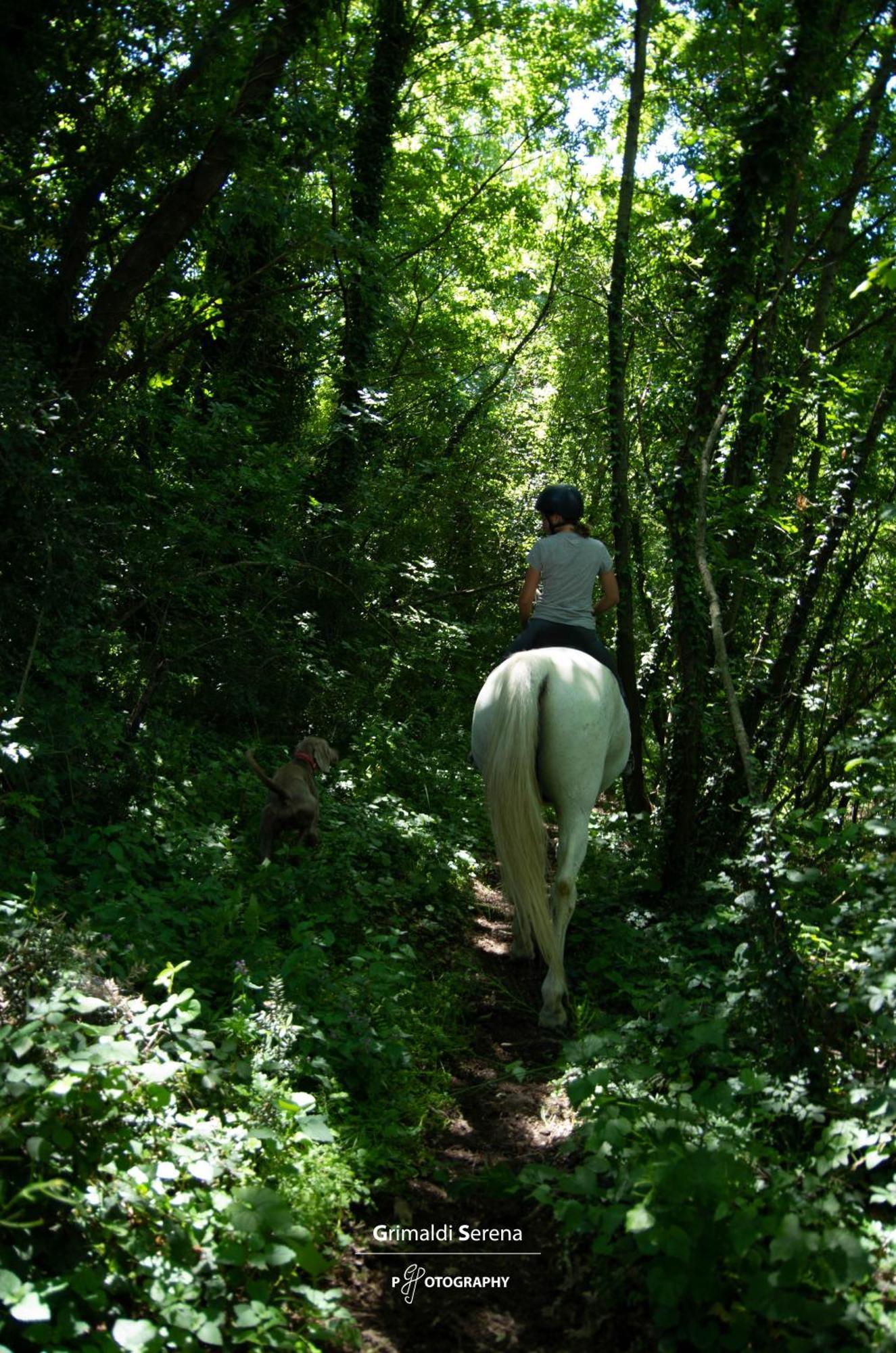 Agriturismo Buonasera Баньореджо Екстериор снимка